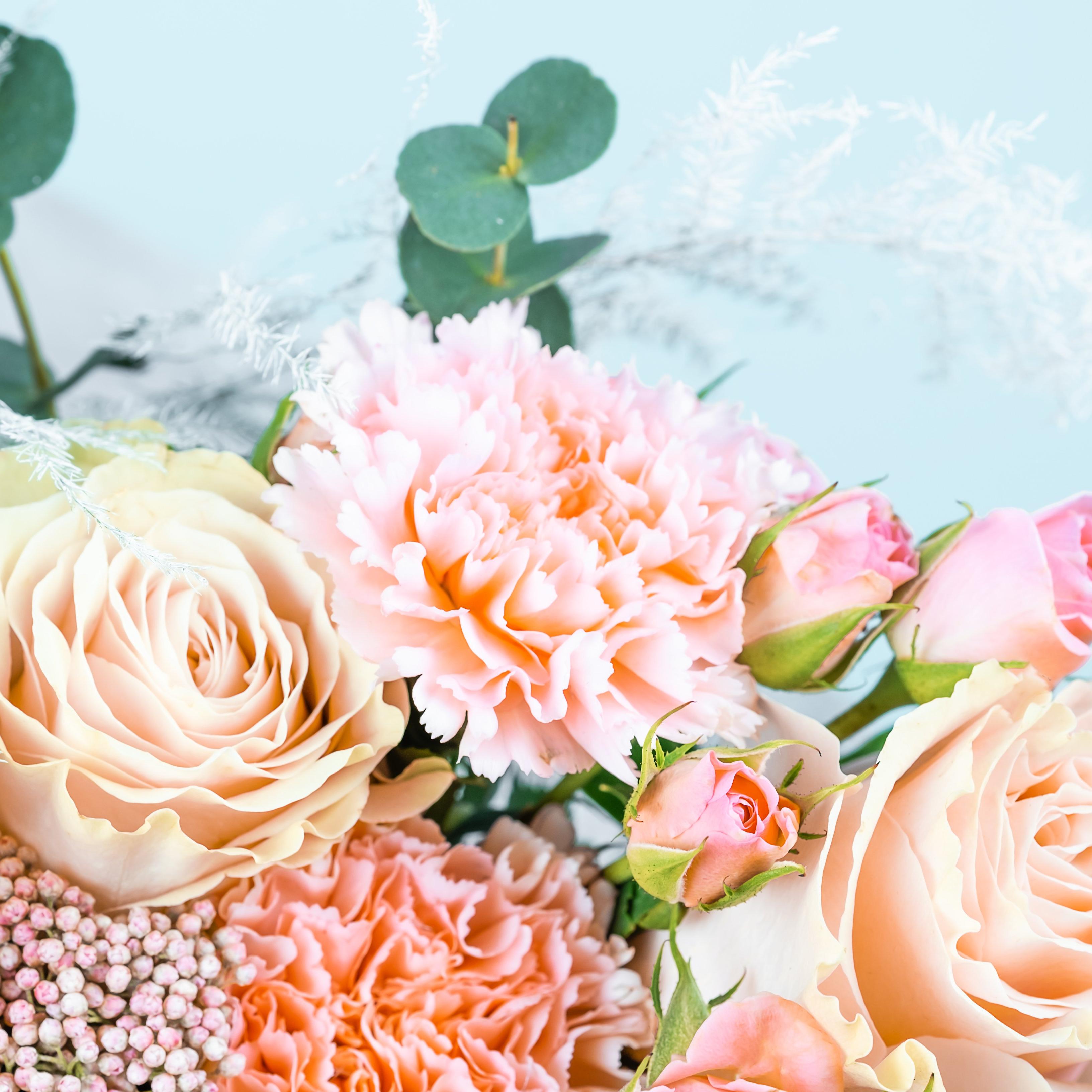 carnation-peach-flowers