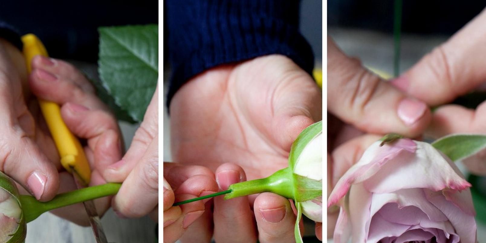 cutting-stem-rose-corsage