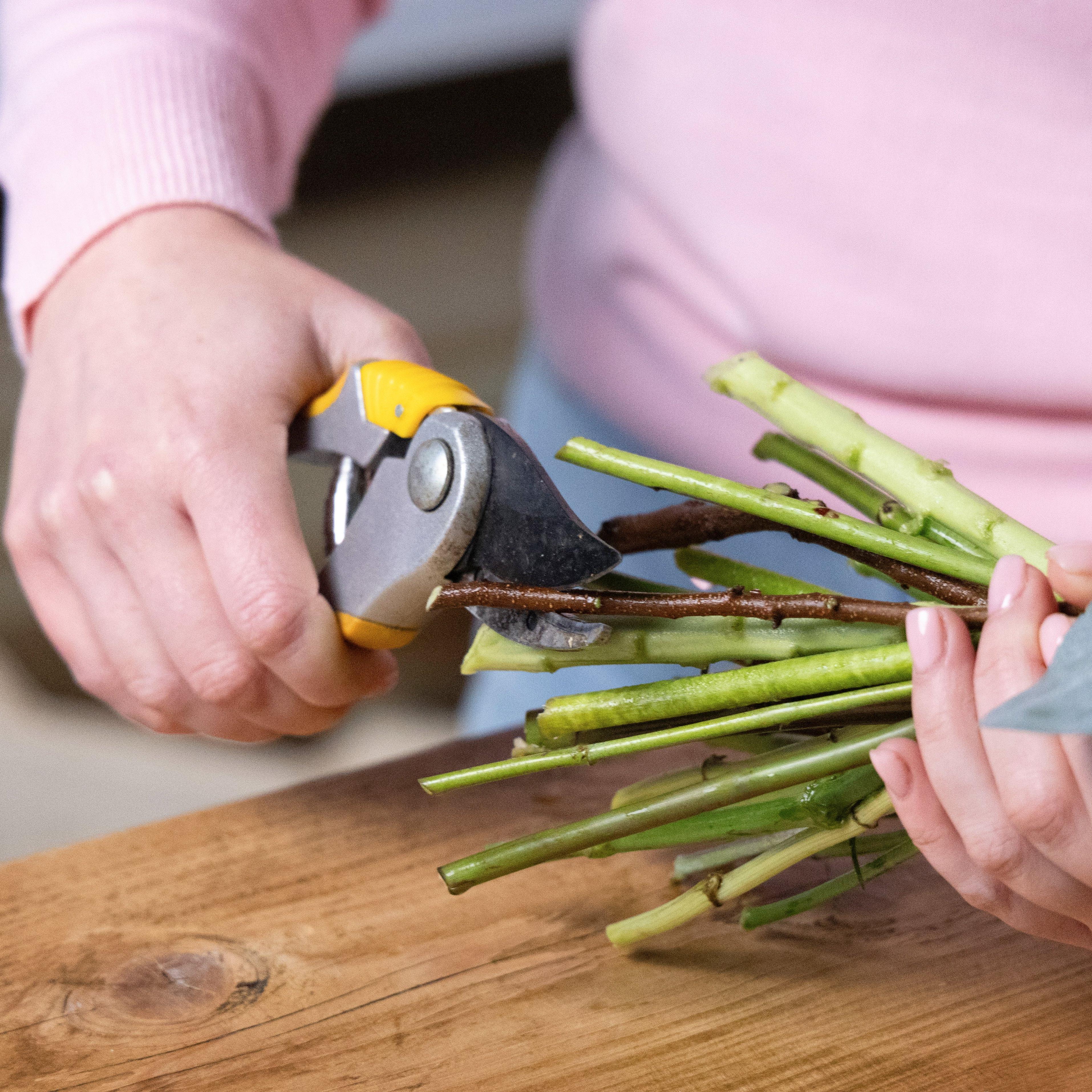 Cutting_stems_at_45_degrees_2-step3