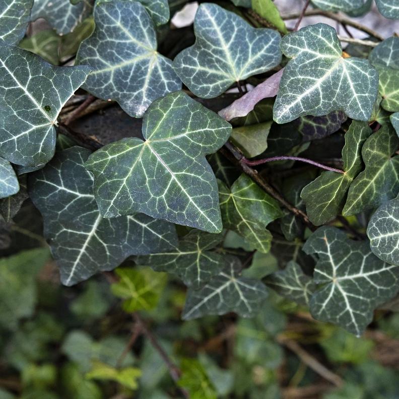 GettyImages-1475076216