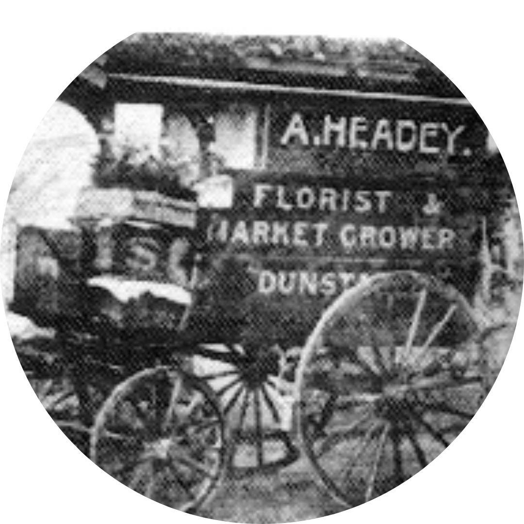 History - early years