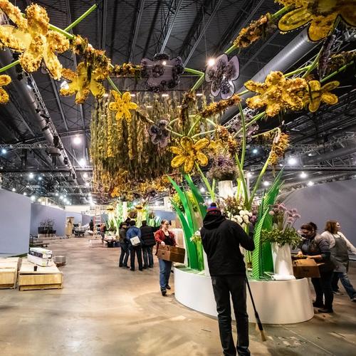 IF World Cup - 0041_2019-02-27_6DM2_IMG_0042_2