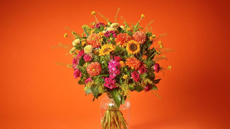 Inflo150725-ADHT0200(BRAND)-CROP2