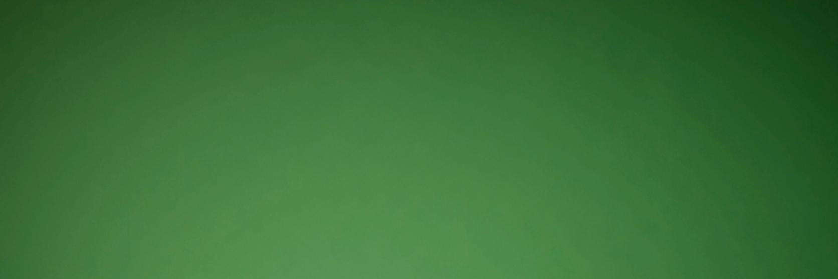 Interflora131223-GREEN