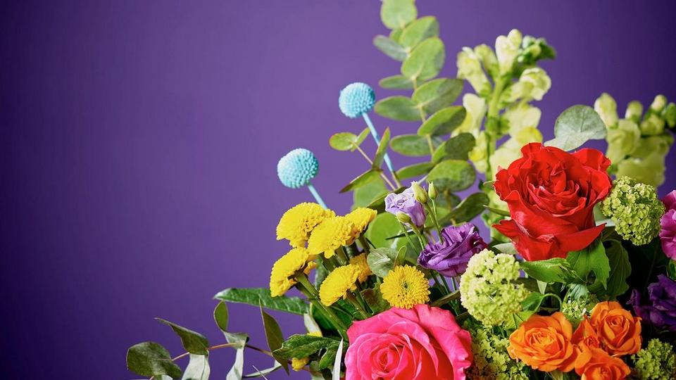 Interflora161024-VCRBHT0100(BRAND3)