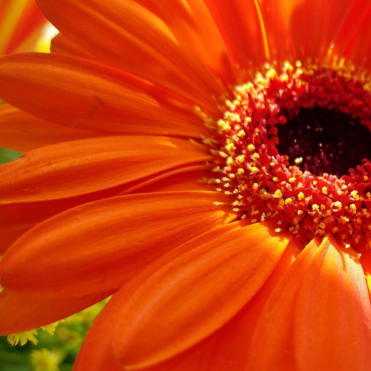 iStock-837519864 (1)