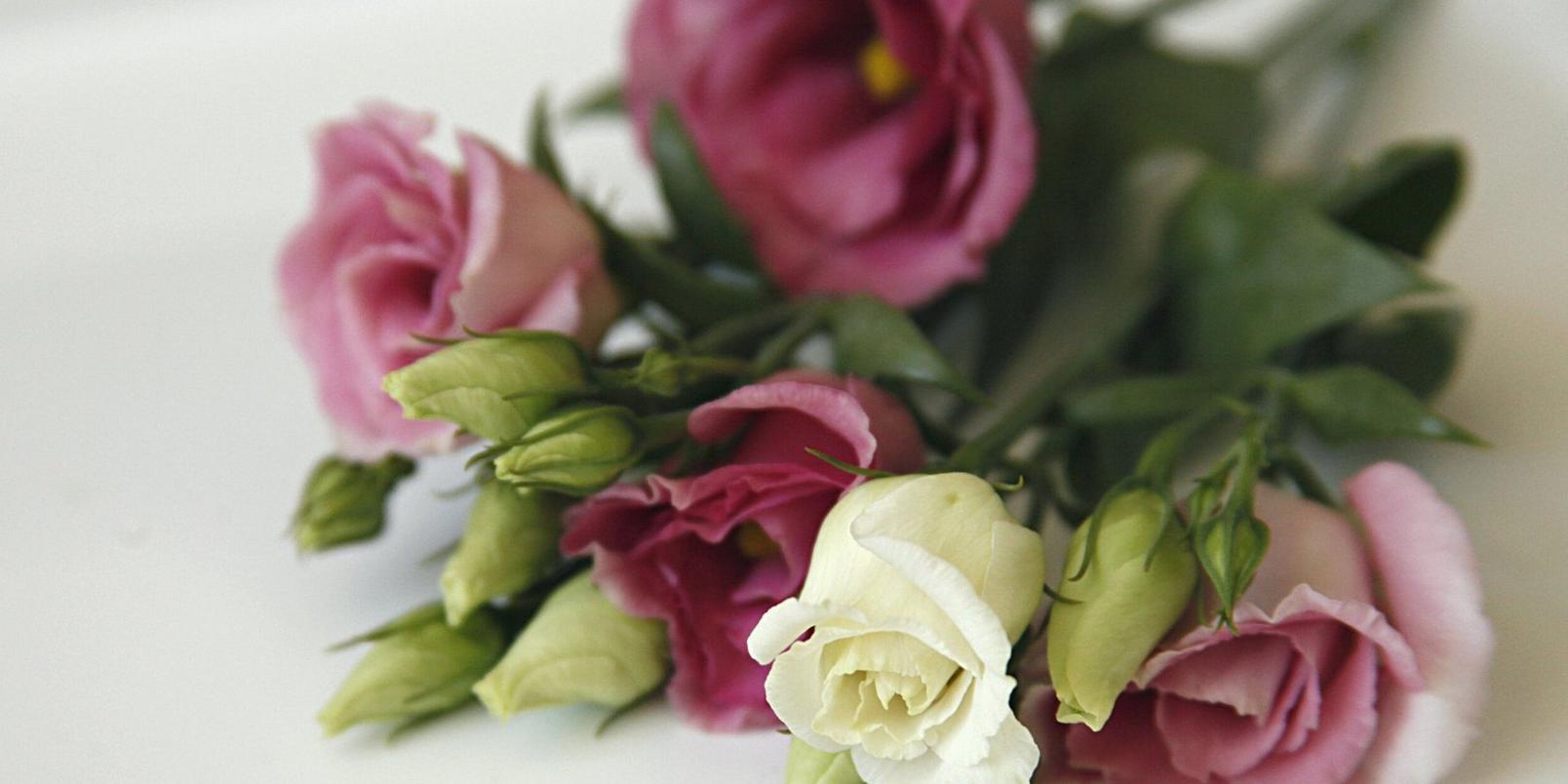 Lisianthus-white-pink-flowers