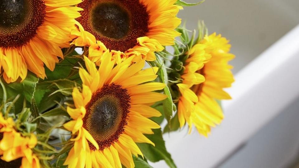 Our-flower-trend-predictions-for-2021-1