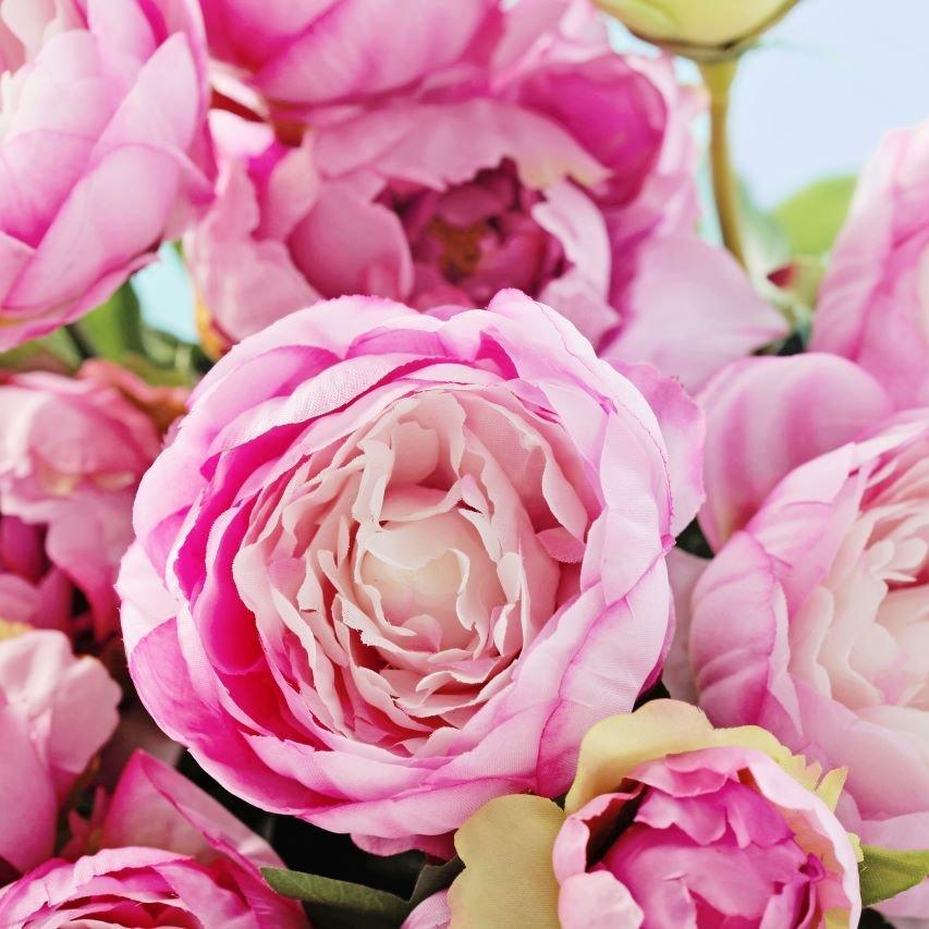 Pink Peonies