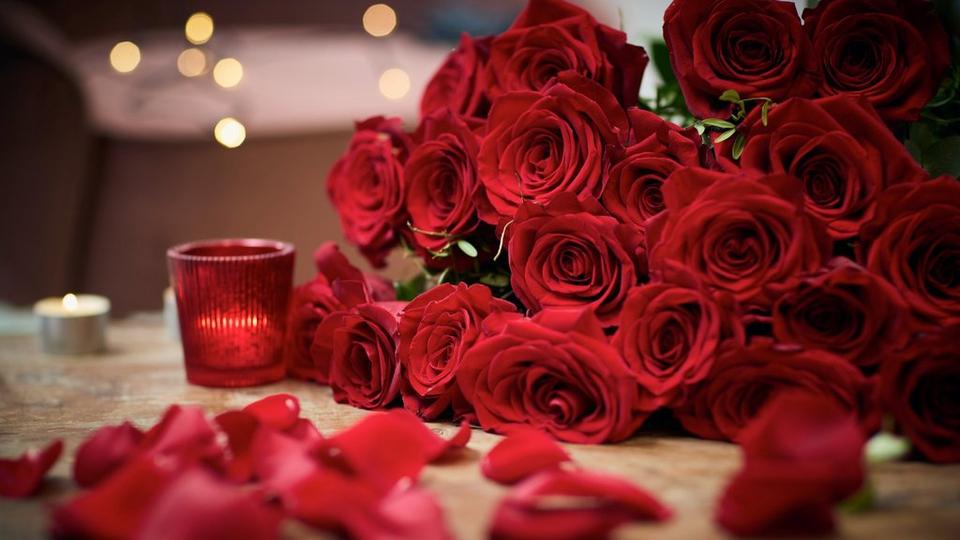 red_rose_content_imagery (1)