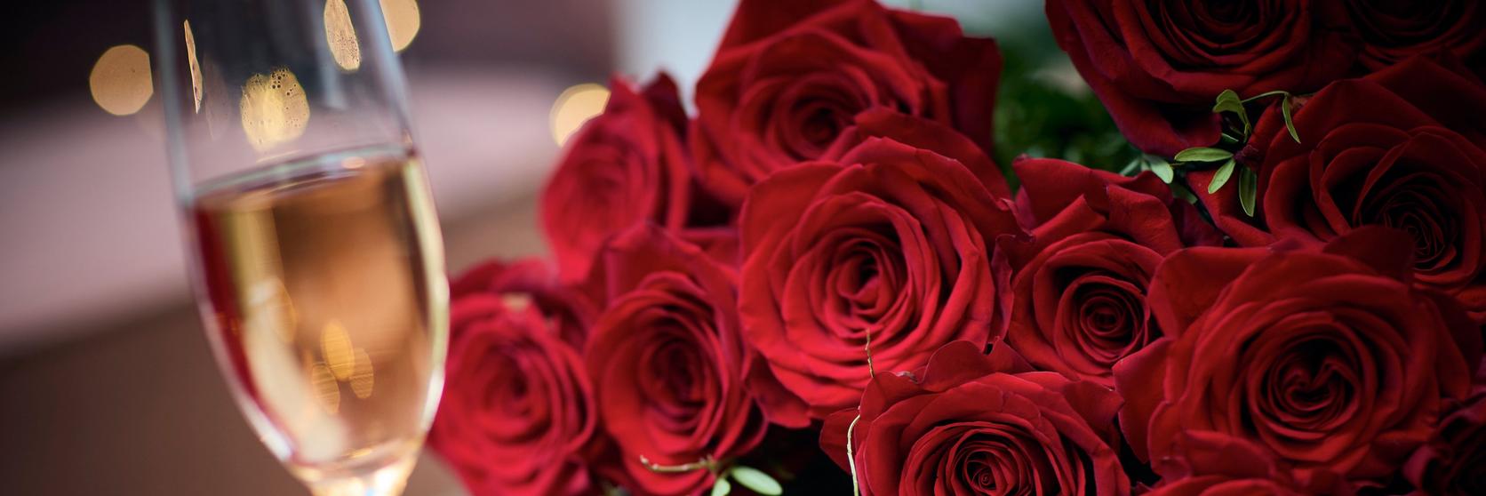 red_rose_content_imagery (29)