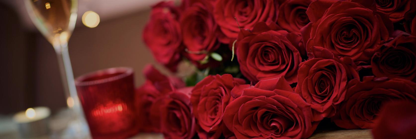 red_rose_content_imagery (9)