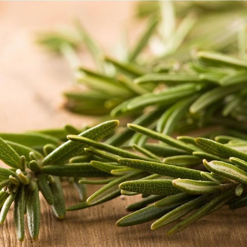 Rosemary_on_a_wooden_background