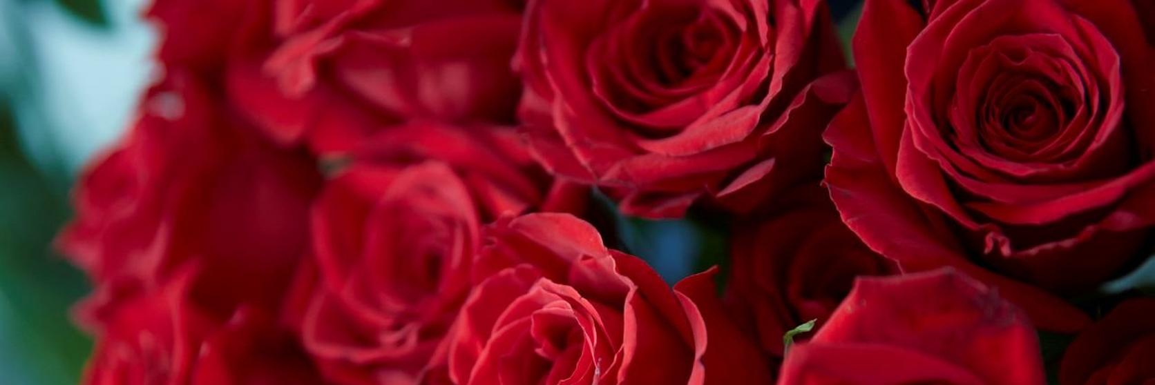 roses-bunch-red-flowers