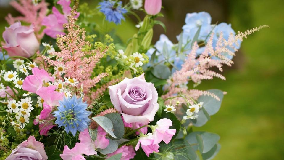 Untitled design (58)